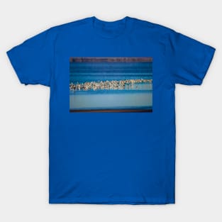 Morning With The American Avocets T-Shirt